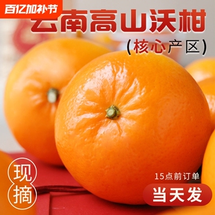 广西武鸣沃柑新鲜水果当季整箱时令10沙糖斤蜜橘砂糖柑橘桔子橘5