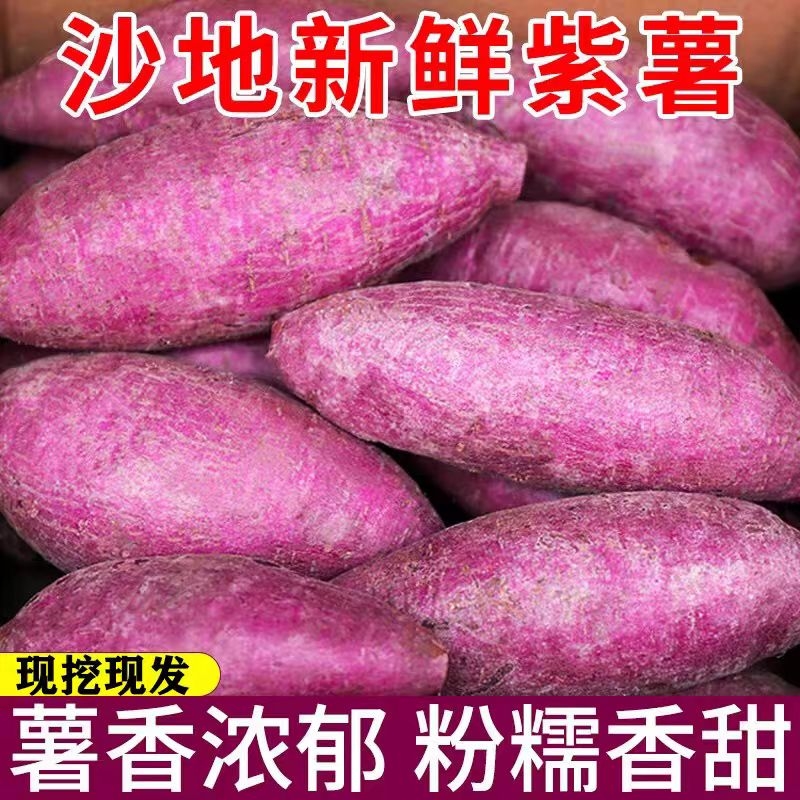 【批发价】正宗沙地紫薯1/5/9斤紫罗兰蜜薯新鲜现挖蔬菜番薯地瓜