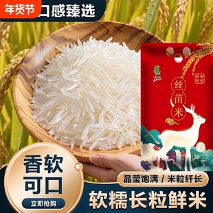江西琴联大米新米晚稻清香丝苗长粒现磨现发米真空包苗米食用双11