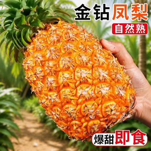 正宗金钻凤梨新鲜水果海南特大果热带包邮产地直发当季手撕凤梨