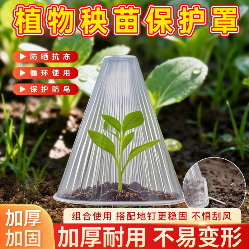 蔬菜育苗保护罩瓜菜幼苗秧苗大棚保温防虫防鸟植物钟罩育苗神器厚