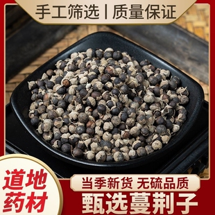 蔓荆子中药材正品果正宗炒蔓荆籽大粒江西野生曼荆子实新货