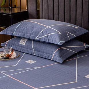 南极人枕头套和枕芯一套纯棉枕套带枕头全棉单人宿舍专用一对套装