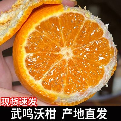 广西沃柑3/5/9斤超甜特大果产地直供现发无坏果新鲜柑橘整箱批发