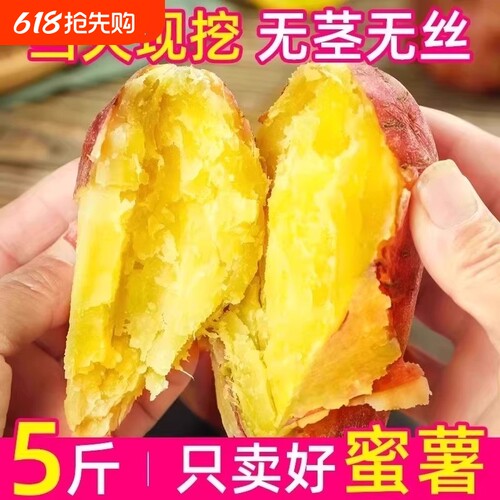 正宗蜜薯龙九沙地红心现挖黄心番薯新鲜糖心地瓜板栗红薯山芋批发