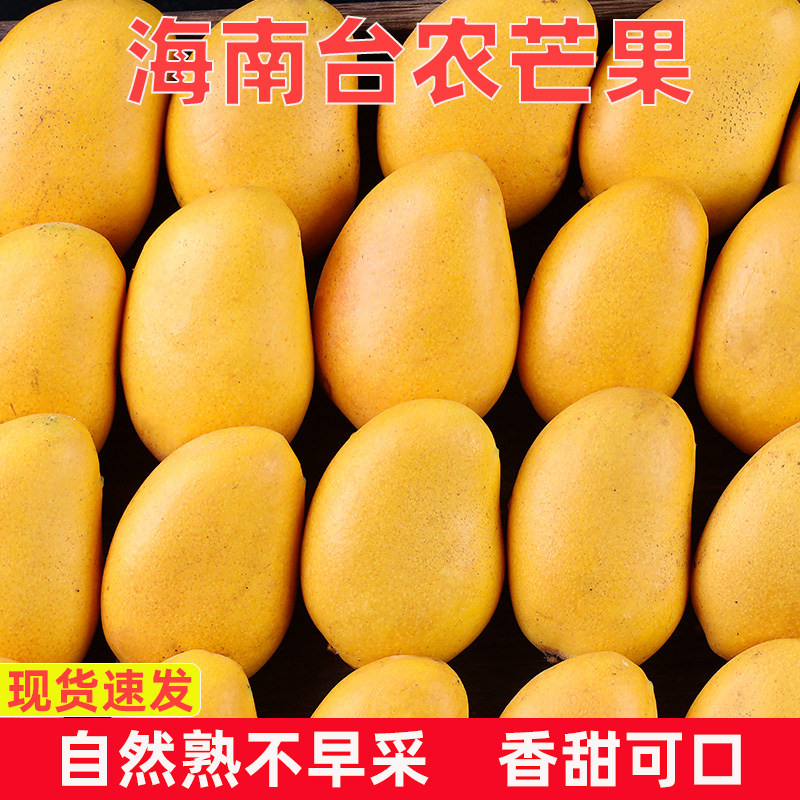 海南小台农芒果新鲜小台芒应当季热带水果特产整箱包邮大果优选 - 实物图