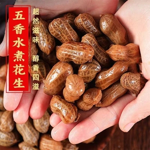 花大个五香香辣水煮卤汁花生3斤