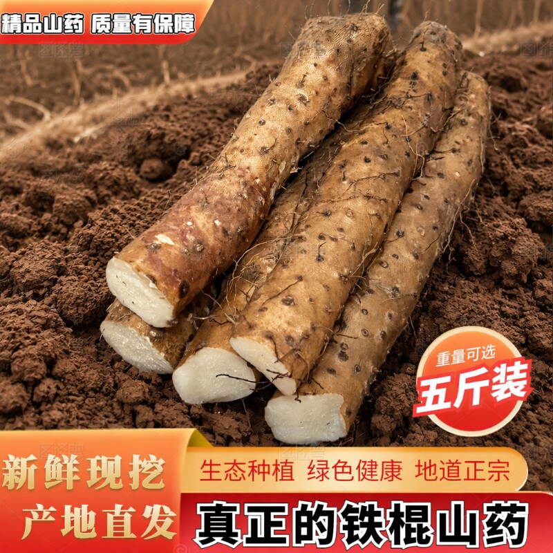 正宗焦作铁棍山药整箱小白嘴新鲜蔬菜垆土现挖农家自种绿色原产地