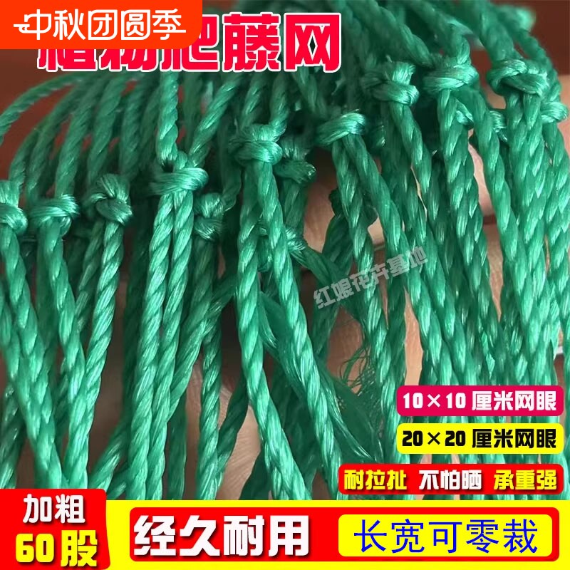 丝瓜爬藤网植物攀爬网瓜果苦瓜吊瓜葡萄瓜蒌豆角百香果菜园绳子图片