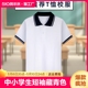 校服上衣纯棉 T恤夏季 中大童白色藏青翻领polo衫 中小学生校服短袖