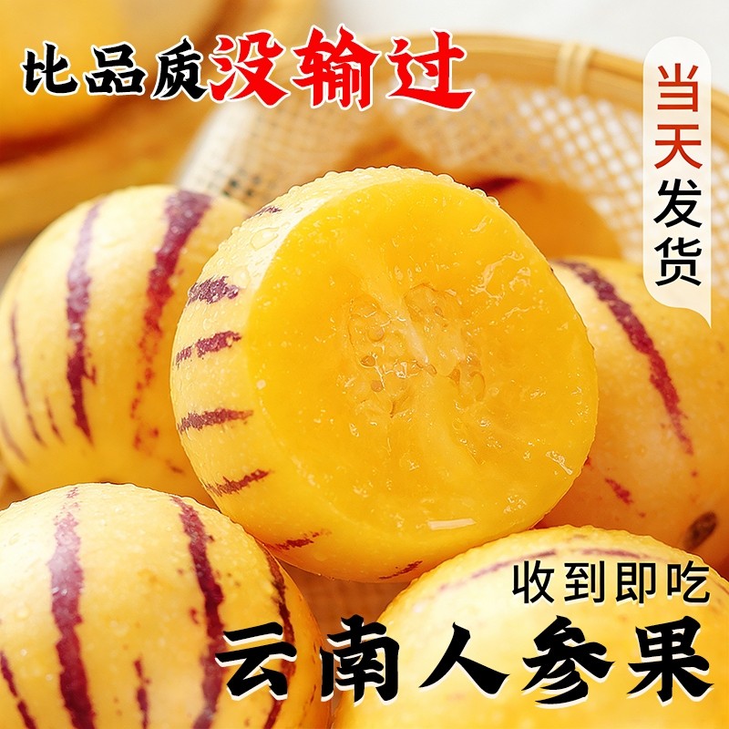 云南石林人参果10斤新鲜大果应季整箱果水果七彩黄肉圆果包邮回购