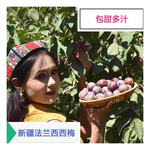 新疆法兰西西梅爆甜软糯