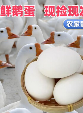 农家散养大鹅蛋新鲜正宗土鹅蛋现捡现发正宗放养孕妇宝宝