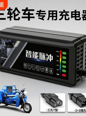电动三轮车电瓶充电器48V12AH60V20安72伏35ah43铅酸石墨烯新国标