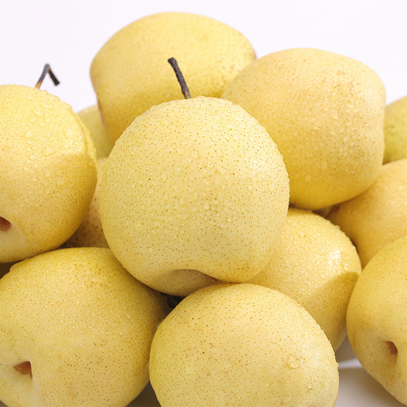 河北雪花梨正宗雪梨蒸煮冰糖雪梨雪花梨新鲜水果当季现摘