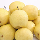 河北雪花梨正宗雪梨蒸煮冰糖雪梨雪花梨新鲜水果当季 现摘