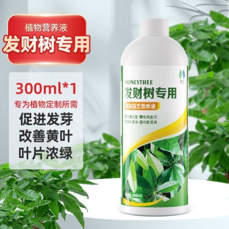 发财树专用营养液治黄叶生根家用室内通用型绿植盆栽肥料