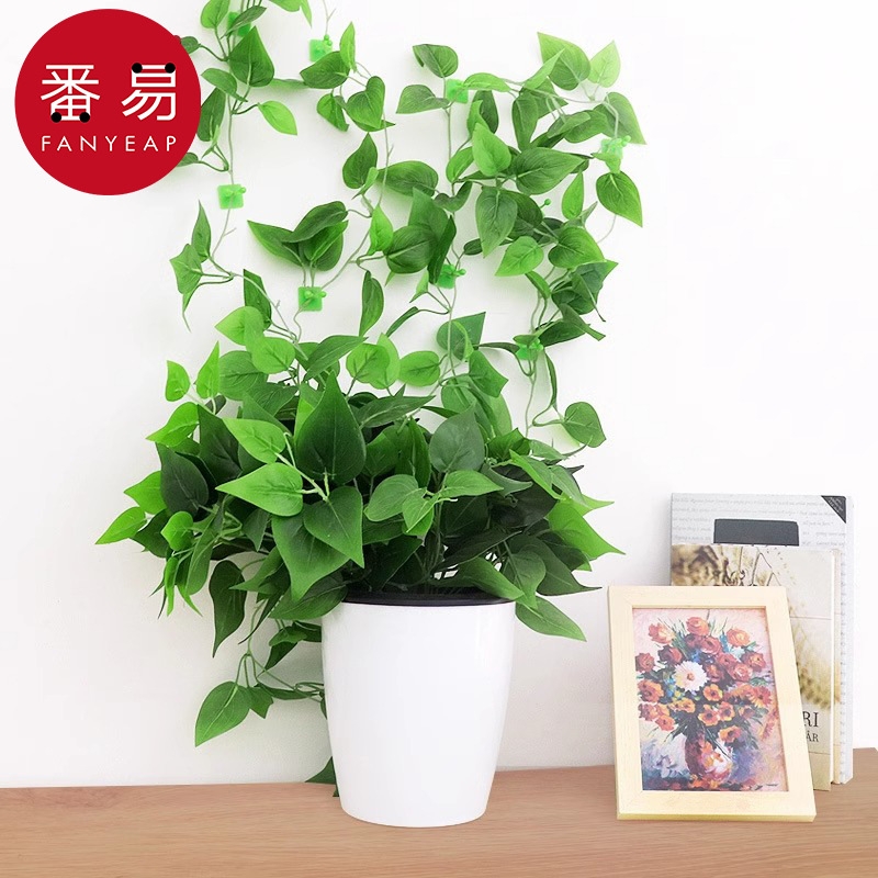 绿萝固定器AD1sn0-爬室内客厅攀爬藤蔓植物爬藤挂造景固定绿植