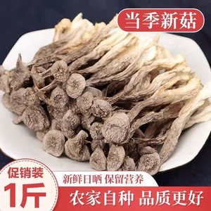 2024新货精品鹿茸菇古田特产