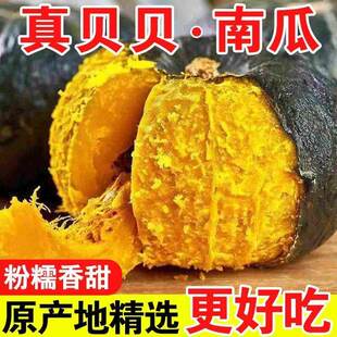 正宗贝贝南瓜新摘爆粉板栗香惠和一号贝贝小南瓜宝宝辅食