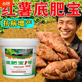 红薯底肥宝红薯种植专用薯苗健壮块根饱满抗重茬土传病水溶肥料