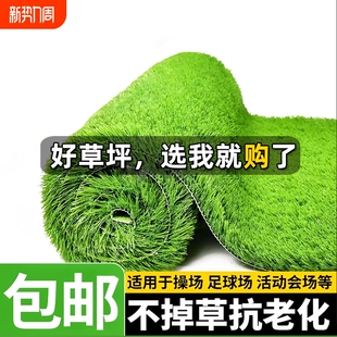 仿真草坪地毯假草皮户外铺垫人造草坪塑料草地垫子地面阳台室外