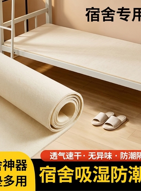 防潮垫学生宿舍专用隔脏单人床垫