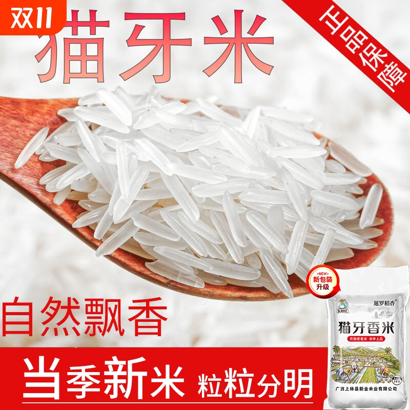 大米10斤南方上林猫牙米年当季新米长粒香米油粘大米10kg籼米优质