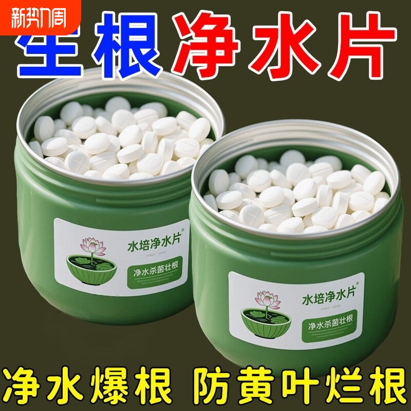 水培植物净水片鲜花花卉保鲜剂不臭水碗莲专用杀菌消毒片净化水质