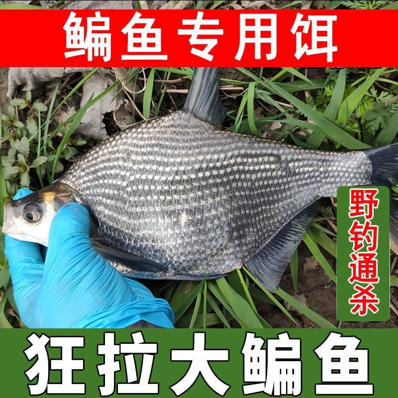 鳊鱼饵料野钓通杀草青鳊鱼饵翘嘴黑坑水库野钓综合鱼食鳊鱼专用饵