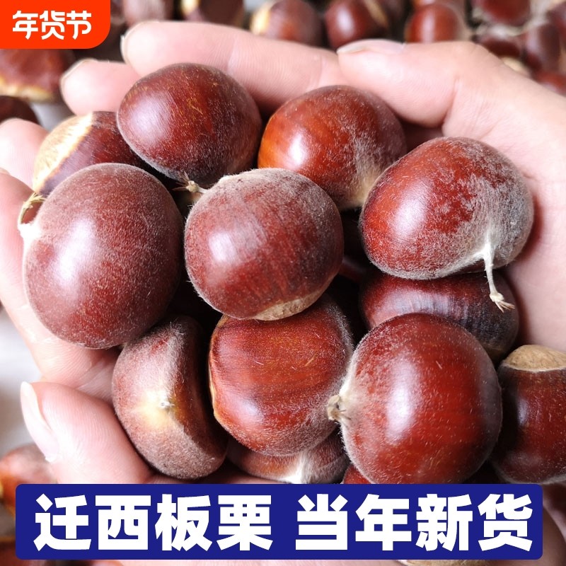 3斤正宗野生新鲜板栗迁西燕山唐山河北油栗特产小栗子新货去皮