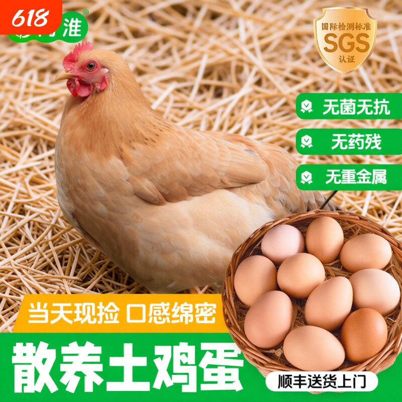 正宗紫蓬山农家散养土鸡蛋乌鸡蛋农户走地鸡蛋新鲜柴笨草顺丰60枚
