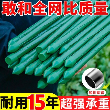 黄瓜豆角爬藤架花架爬藤支架园艺包塑钢管户外葡萄架子植物爬藤杆