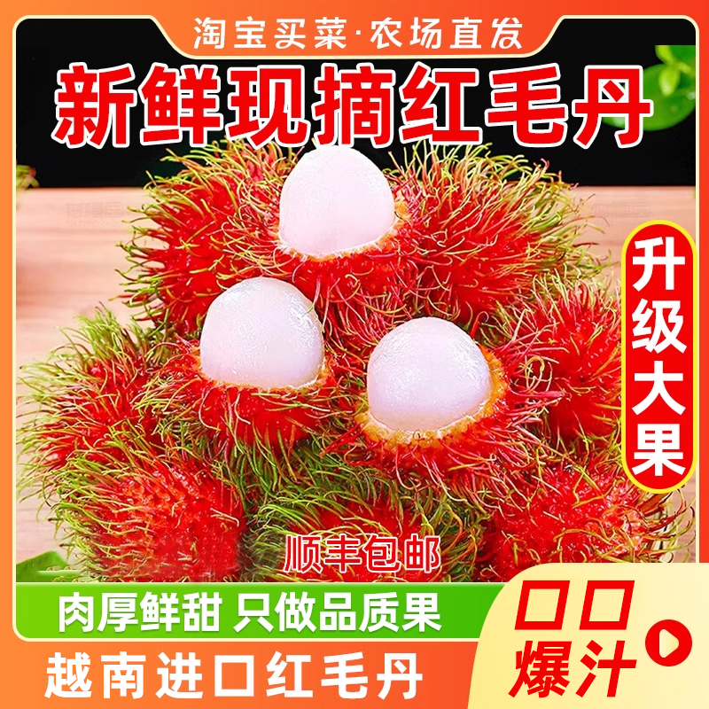 越南进口红毛丹新鲜水果红毛丹新鲜毛荔枝正宗毛丹果顺丰包邮