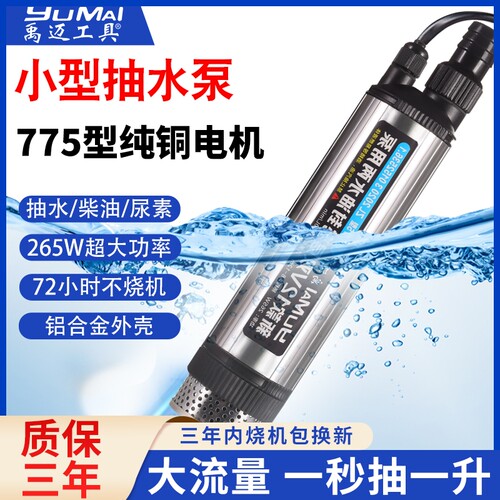 265w小型电动抽水泵神器12v直流大功率家用220v潜水泵大流量24伏