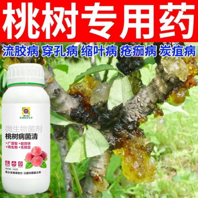 桃树流胶专用桃树病菌清桃树杀菌剂流胶穿孔缩叶炭疽白粉腐烂正品
