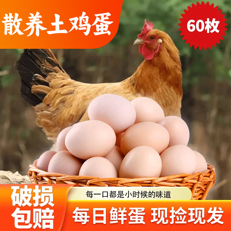 【60枚囤货装】散养农家土鸡蛋每日鲜蛋现捡现发