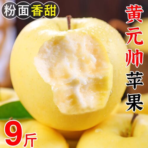 正宗黄元帅苹果9斤新鲜水果应当季粉面黄金帅黄香蕉粉面脆甜可口