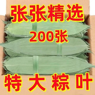 干粽叶包粽子专用大号野生干竹箬叶端午老式材料商批发本地粽叶