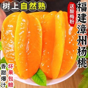 福建甜杨桃新鲜水果清热去火泡沫网套洋桃红扬桃五角星阳桃