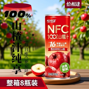 8罐 NFC山楂汁100%果汁饮料解腻0添加0脂肪聚餐新婚聚会整箱240ml