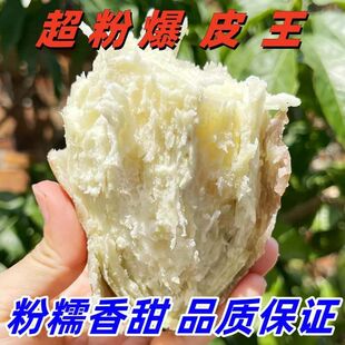 高州番薯白心爆皮王红薯新鲜粉糯香甜现挖农家地瓜