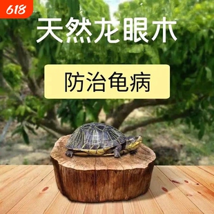 乌龟晒背台龙眼木爬台高水位天然防腐烂甲造景摆件龟缸装饰沉木