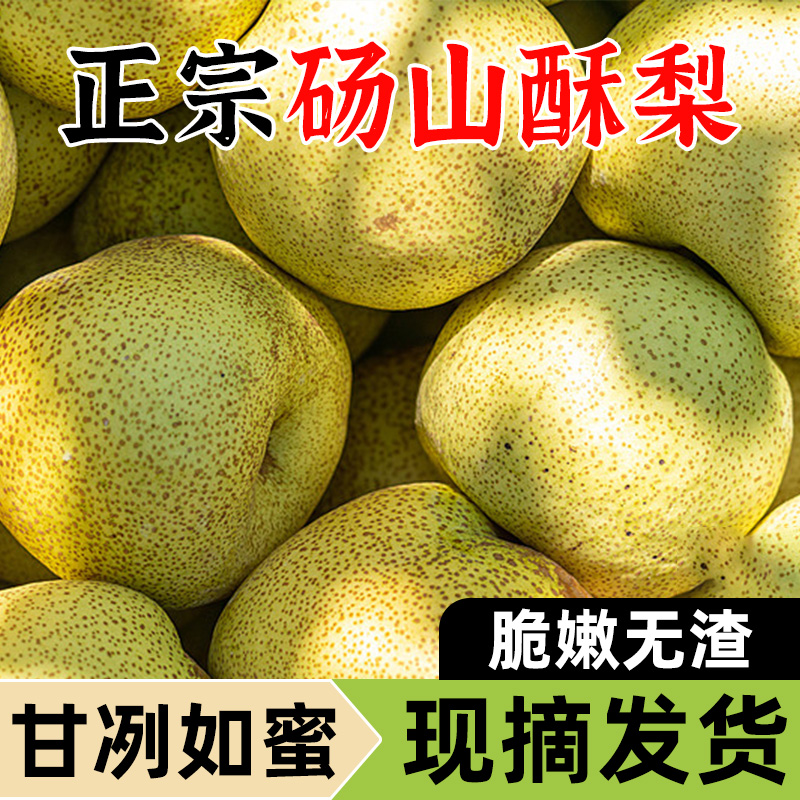 正宗安徽砀山酥梨当季整箱梨子新鲜时令水果应季雪梨砀山梨包邮