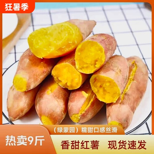 河南龙九红薯新鲜番薯开封蜜薯农家大果沙地糖心山芋地瓜软糯香甜