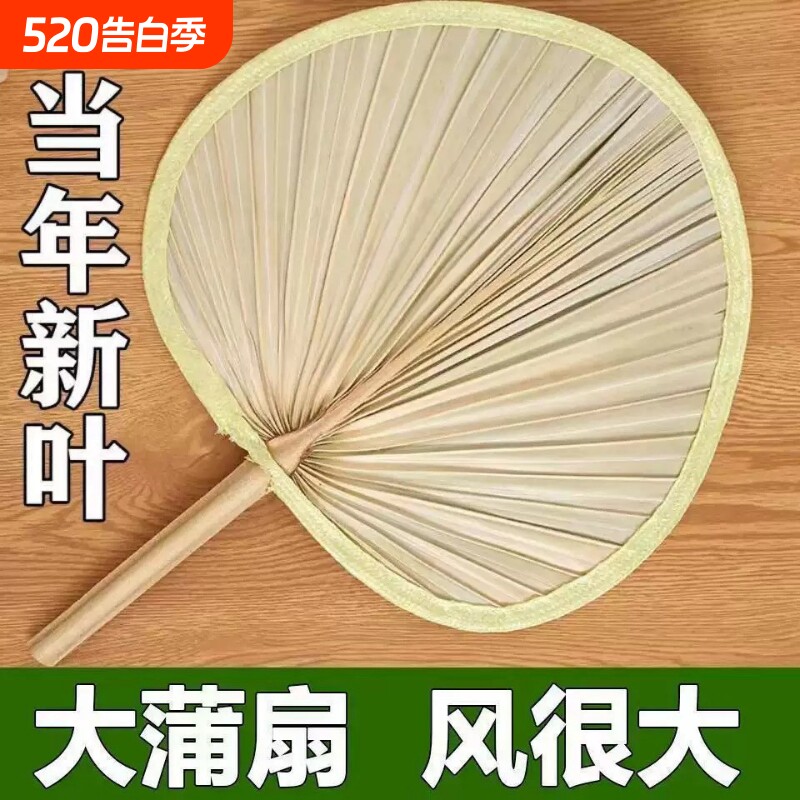 蒲扇老式大蒲扇夏季儿童宝宝竹编扇子夏天手摇手工编织古风扇新款