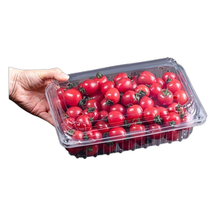 一次性水果盒透明塑料包装盒带盖500克水果店打包盒食品级长方形