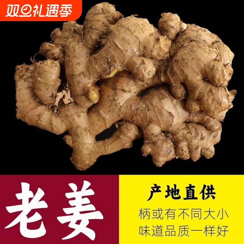 正宗云南小黄姜新鲜蔬菜老姜生姜