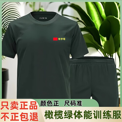 速干体能服短袖体能训练服正品套装短裤运动上衣t恤男橄榄绿原厂