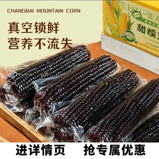 東北黑糯玉米10根甜糯苞米黑玉米早餐真空包裝 即食黏玉米香甜軟糯